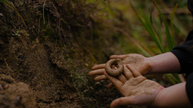 Como reconocer arcilla en la naturaleza